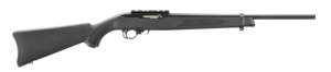 New York Special Ruger 10/22