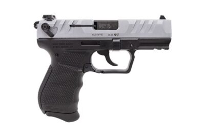 PD380 .380 ACP Nickel 9R