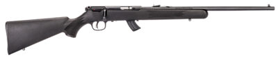 MKII-F 17HM2 20.75" B Syn Clip AT