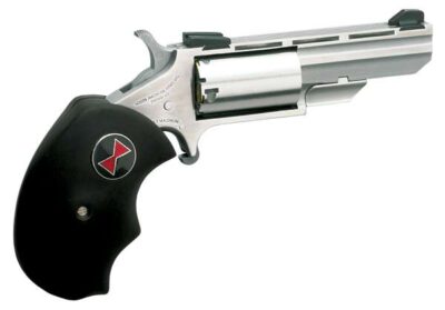 NAA BLK WIDOW MINI-RVLVR 22LR/M STS - Image 3