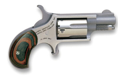 Mini-Rev 22LR 1 1/8"S FS Lam Birdhead