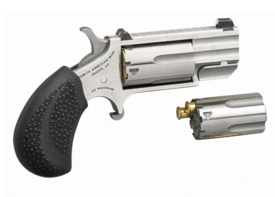 NAA MINI REVLVR PUG DC CONV 22LR/MAG 1" XS SIGHTS