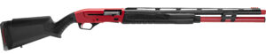 SAV RENEGAUGE COMP 12M/24 9RD