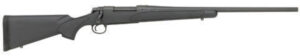 700 SPS Yth 243 22" M Syn Ns R3