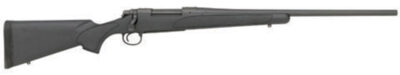 700 SPS Yth 243 22" M Syn Ns R3