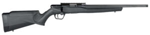 SAV B22FV-SR BA RFL 22LR 10RD