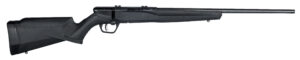 SAV B17F 17HMR BA RFL 10RD