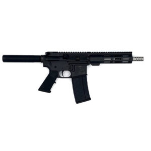 223WYLDE PSTL SS 30RD BLK