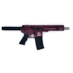 223WYLDE PSTL SS 30RD CHY