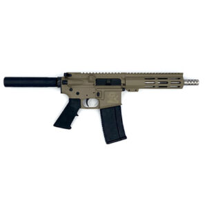 223WYLDE PSTL SS 30RD FDE