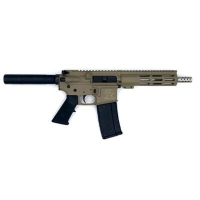 223WYLDE PSTL SS 30RD FDE