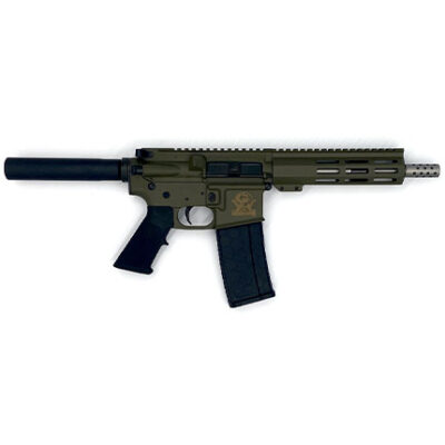 223WYLDE PSTL SS 30RD ODG