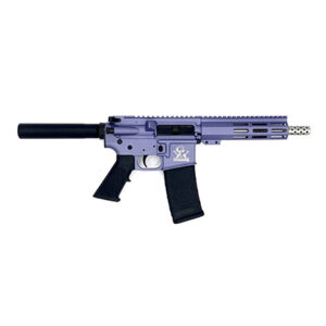 223WYLDE PSTL SS 30RD PUR