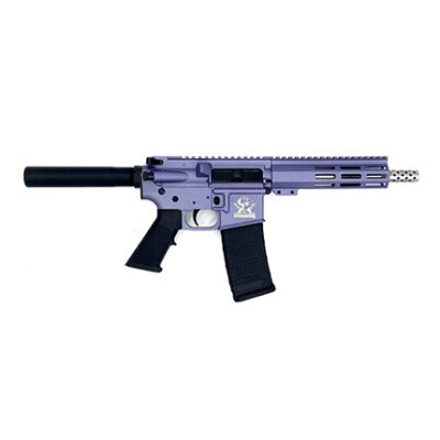 223WYLDE PSTL SS 30RD PUR