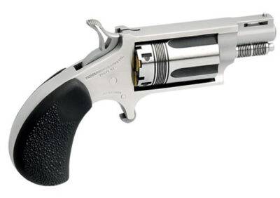 NORTH AMERICAN ARMS THE WASP 22MAG REV 1-1/8" SS