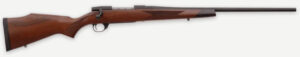WBY VANGUARD 2 30-06 22 TB SPORTER