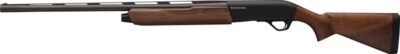WINCHESTER SX4 12GA 3" 26"VR - MATTE BLACK/WALNUT - Image 2