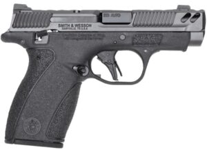 PC Bodyguard2.0 380 3.1" TS Gry/ Blk (2) 10-rd