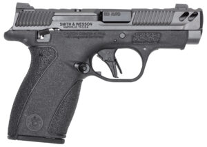 PC Bodyguard2.0 380 3.1" TS Gry/ Blk 1/10 1/12rd