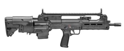 Hellion 5.56 NATO 16" Blk 2/10rd GEARUP
