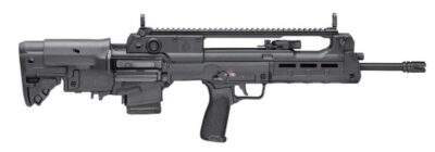 Hellion 5.56 NATO 18" Blk 2/10rd GEARUP