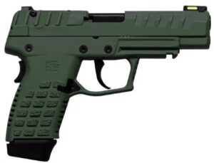 P15 9mm 4.0" Grn (2)10-rd CA