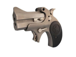 Bond Arms BARH-22LR Rawhide 22LR 2.5" 2 Rounds Matte Stainless