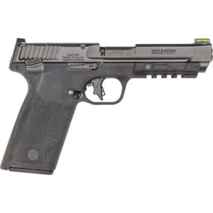 M&P 22 MAGNUM 22 WMR 4.35'' BBL (2)10RD MAGS BLACK