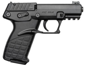 Keltec P17 .22 Pistol