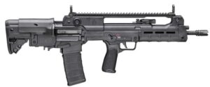 Hellion 5.56 NATO 16" Blk  2/30rd GEARUP