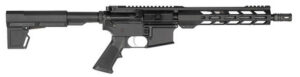 MKS HI POINT HP-15 5.56 10.5 BLK MLOK BRACE