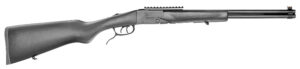 CHIAPPA DBL BADGER 410G/22LR SHT/RF